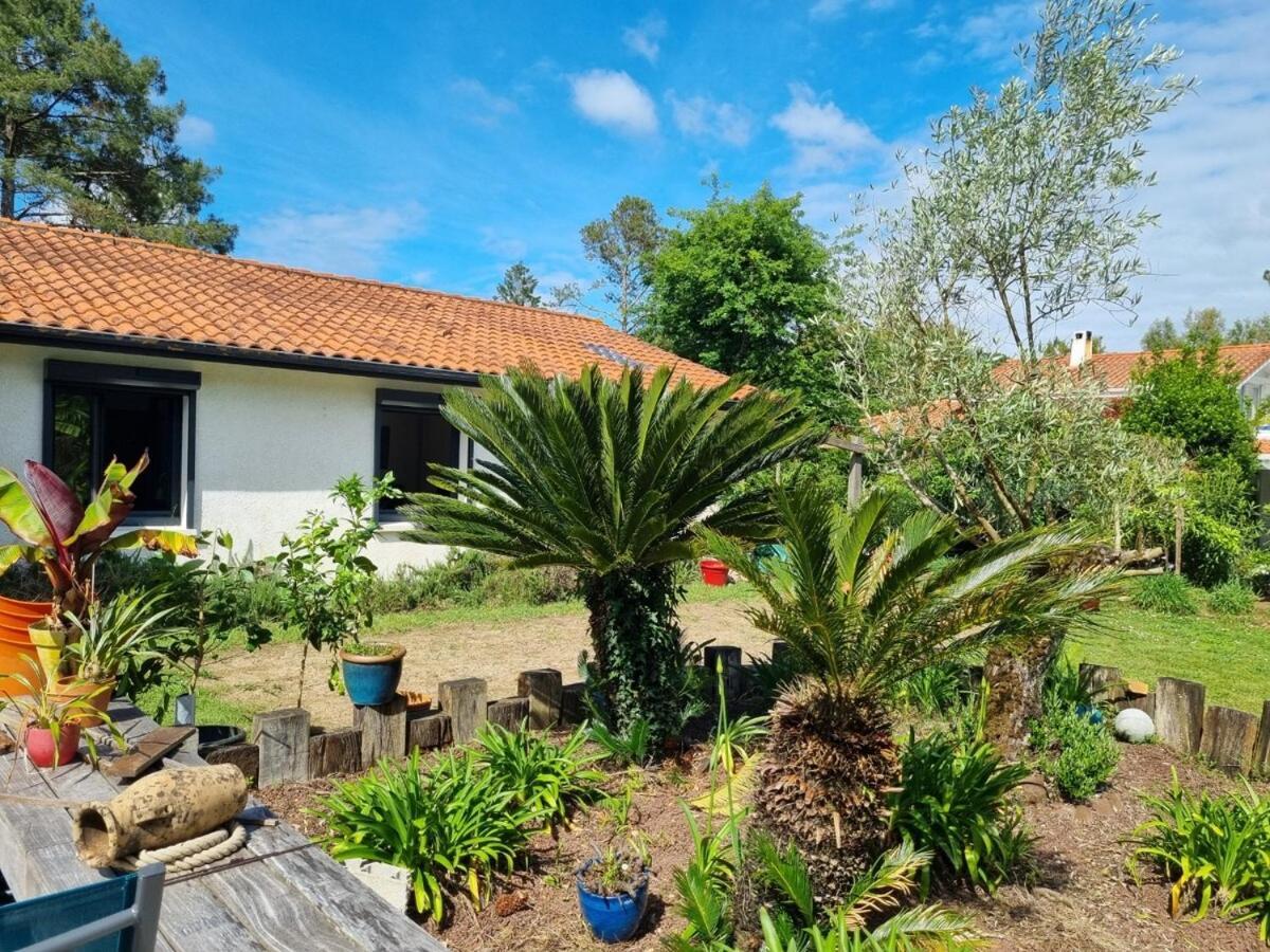 House With Heated Pool And Jacuzzi Villa Soorts-Hossegor Luaran gambar
